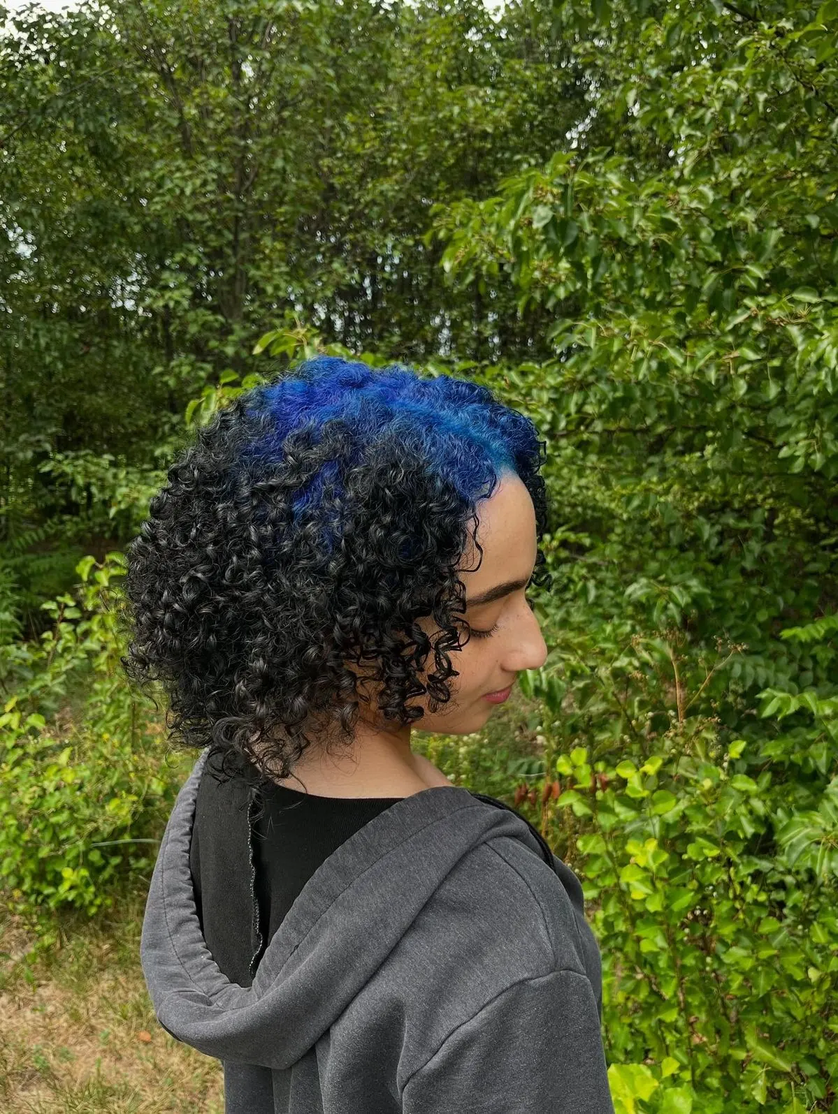 Side profile of a short curly black bob with cobalt-blue color covering the upper crown curls.