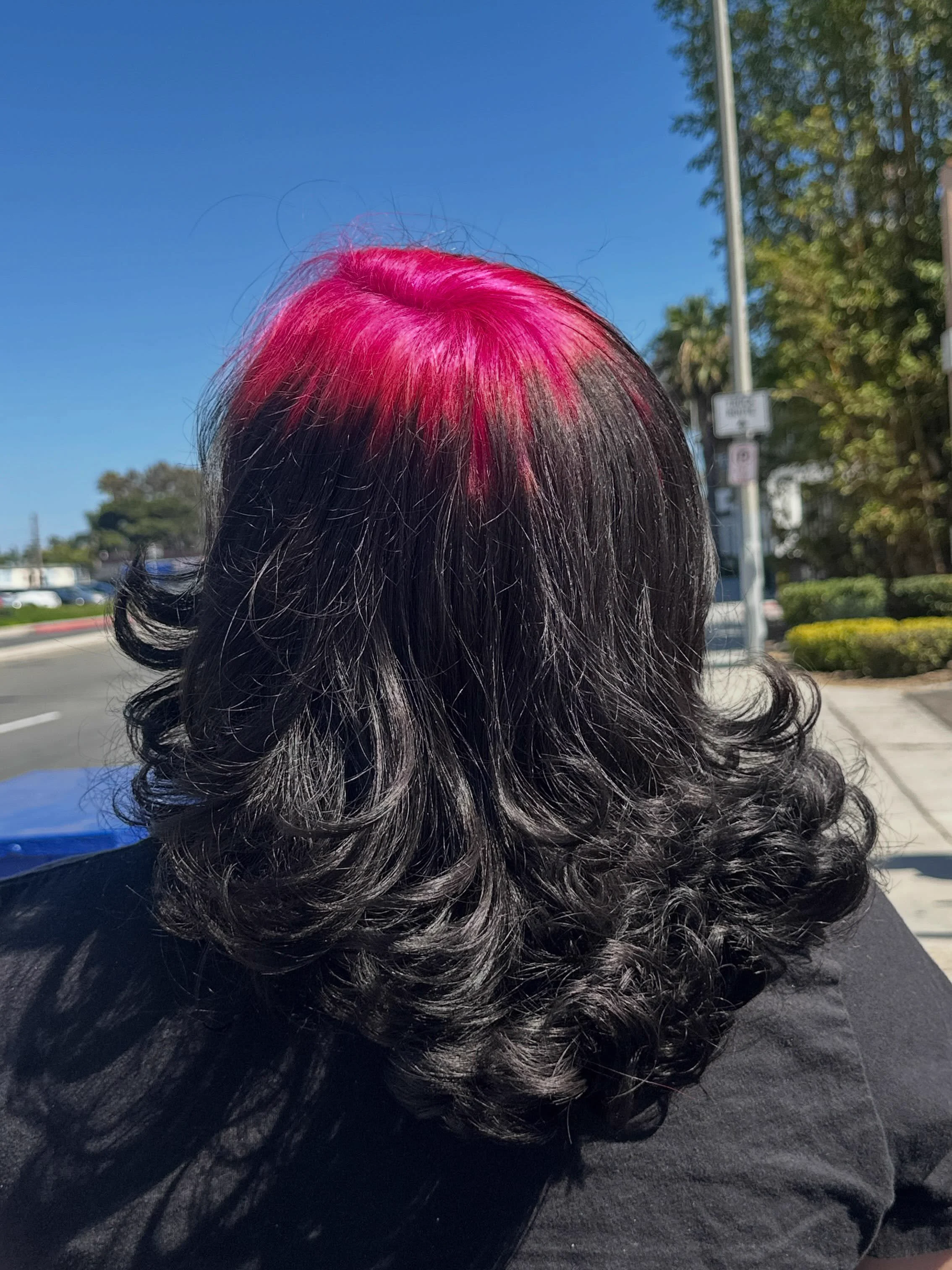 Back view of long black curls with a vivid pink panel covering the crown roots.