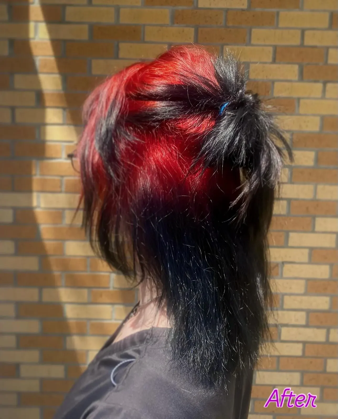 Back view of long black hair tied up to expose a broad red root section across the crown and upper back.