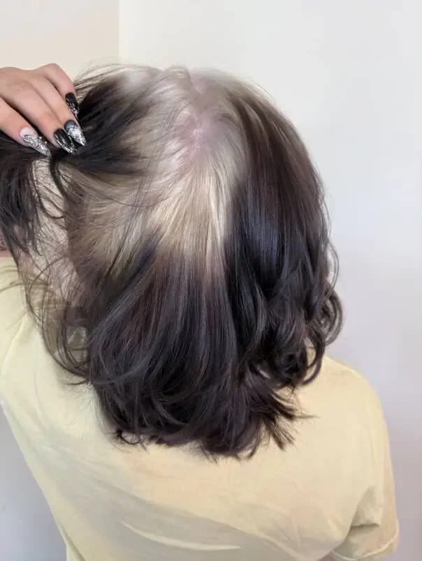 Back view of a short dark wavy bob lifted to reveal a broad silver-lilac crown panel.