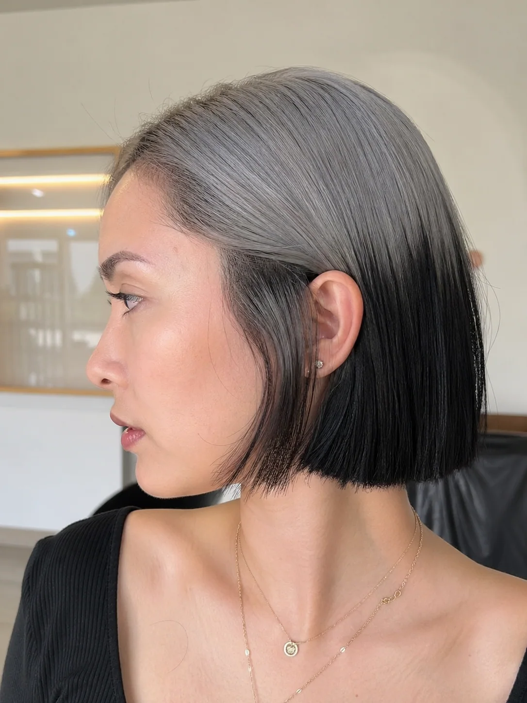 Short blunt bob with silver-grey top ghost roots and black underlayer.